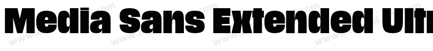 Media Sans Extended Ultra字体转换